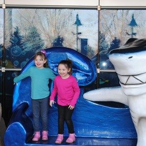 Meet your Posher, Tracy